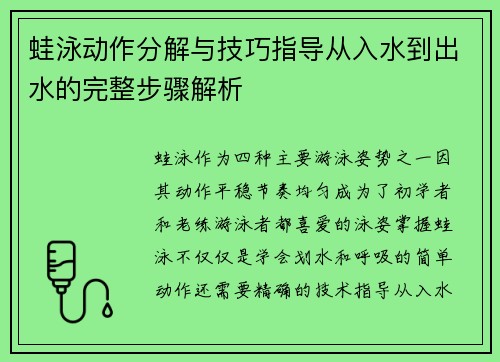 蛙泳动作分解与技巧指导从入水到出水的完整步骤解析